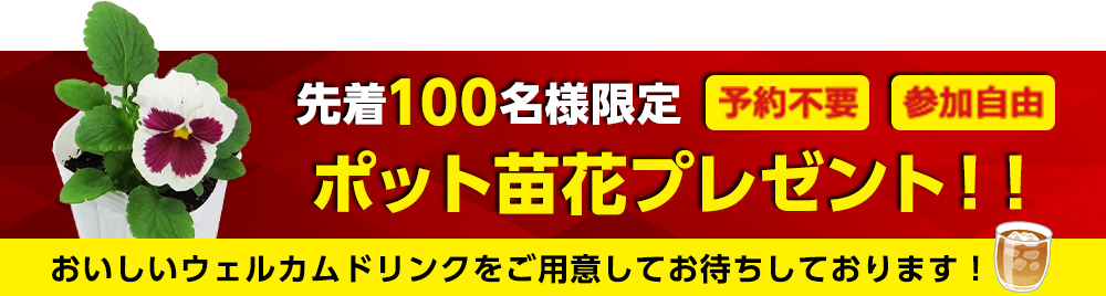 先着100名様限定ポット苗花プレゼント